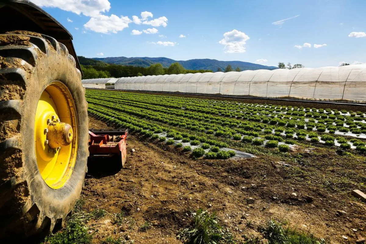 carbon farming