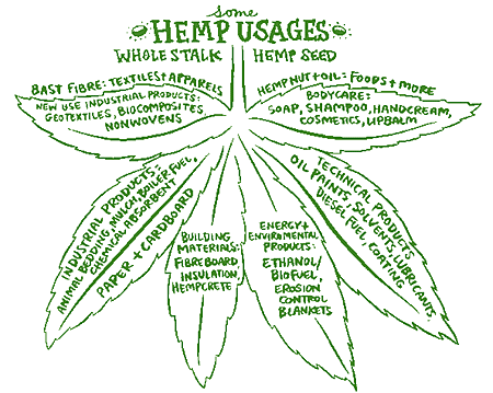 industrial hemp