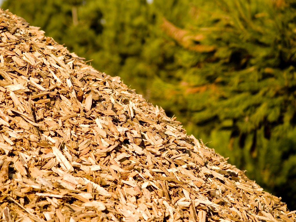 biomassa e carbon farming